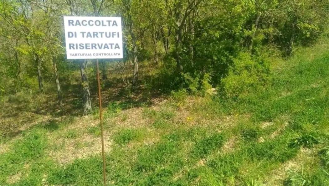 فيلا Juliet Holiday House Castiglione In Teverina المظهر الخارجي الصورة